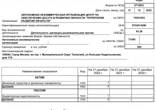 Бухгалтерский баланс 2022