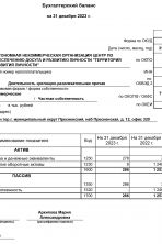 Бухгалтерский баланс 2023