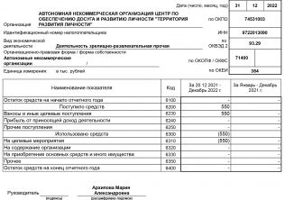 Отчёт о целевом использовании средств 2021